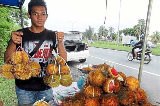 Nặng từ 2-2,5kg, tính ra mỗi quả sầu riêng ruột đỏ có giá lên đến 500.000 đồng. Ảnh: Vietq.