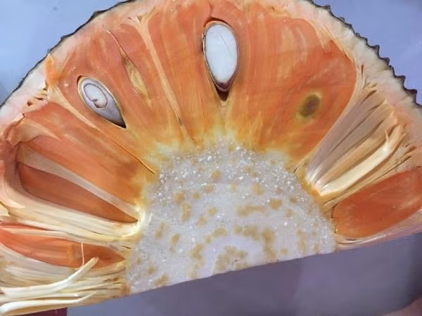 Mau la va dat gap 10 lan loai thuong, mit nay co gi dac biet?-Hinh-2