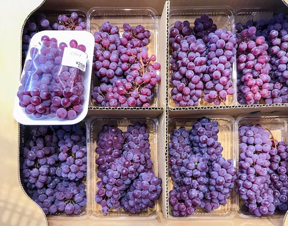 Khi ăn tươi, nho chuỗi ngọc Nhật Bản có vị ngọt chua nhẹ, thơm nồng vị rượu.