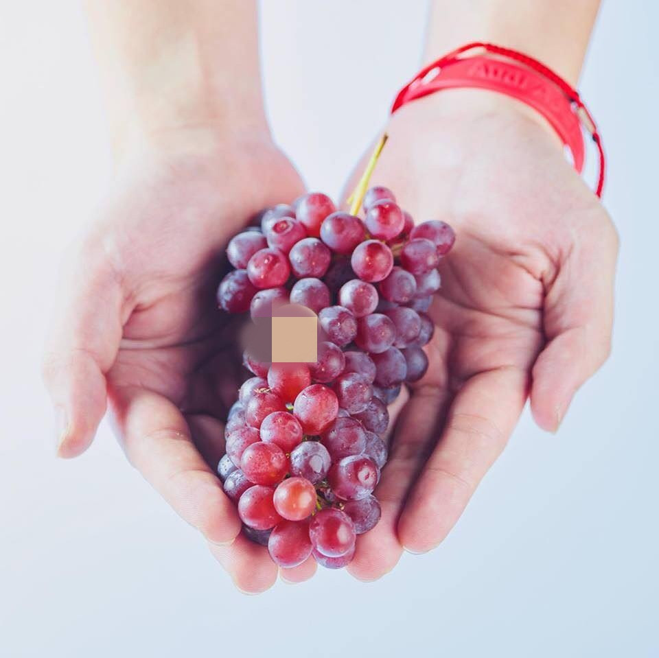  Nho chuỗi ngọc được bán với giá hơn 1,7 triệu đồng/kg, gồm 3-5 chùm nhỏ, đắt hơn nhiều so với các loại nho Mỹ, Australia..