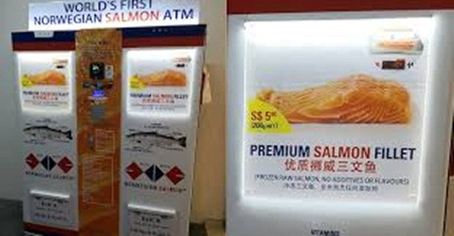 Những chiếc máy ATM cá hồi được vận hành bởi công ty địa phương có tên Norwegian Salmon. Ảnh: ScandAsia.