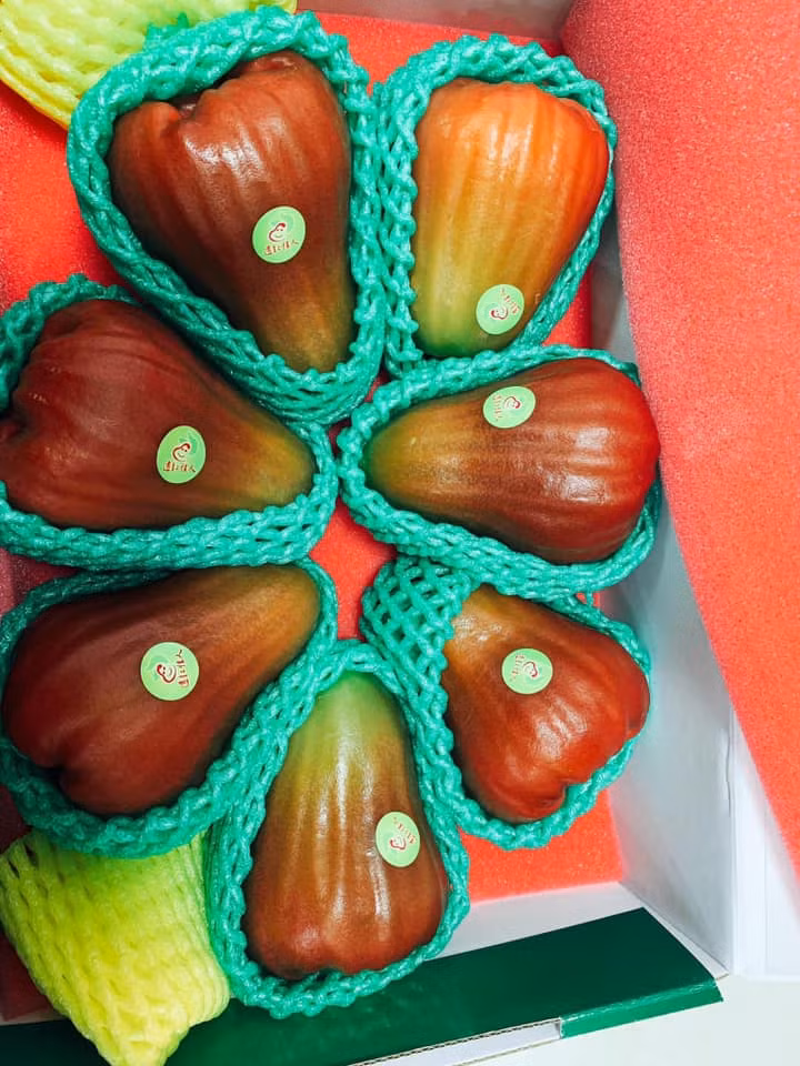 Chia sẻ trên Vietnamnet, chị Hà Thanh Dương ở Minh Khai (Hai Bà Trưng, Hà Nội) cho biết phải chờ tới mấy ngày mới đặt mua được 1 hộp roi ngọc bích Đài Loan. Ảnh: FB Huong Nguyen Thu.