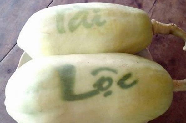 Sản phẩm bán ra dao động từ 150.000 - 200.000 đồng/quả. Ảnh: Dân Việt.