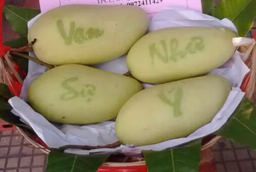 Các chữ được in có nội dung may mắn như Vạn Sự Như Ý hay Tài - Lộc. Ảnh: Youtube.