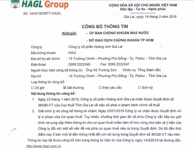 Hoang Anh Gia Lai cua bau Duc bi truy thu thue 11 ty