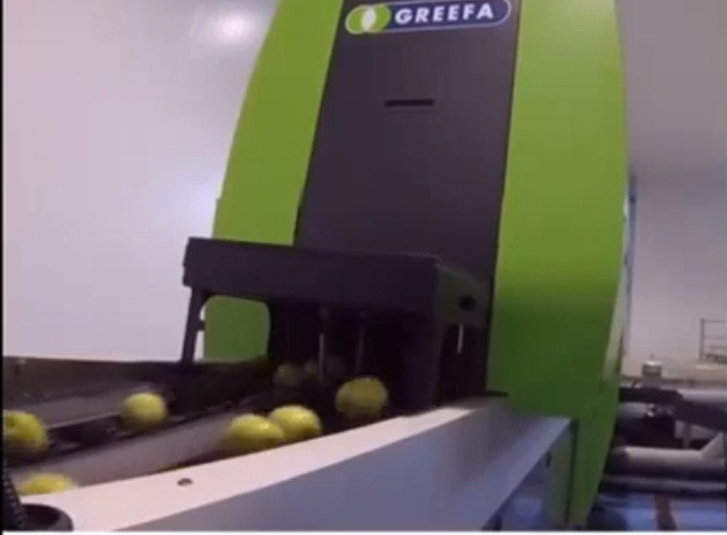 Camera hồng ngoại sẽ kiểm tra hàm lượng đường và những khiếm khuyết bên trong táo.