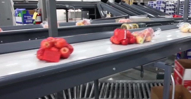 Một số được đóng vào thùng, một số cho vào túi.