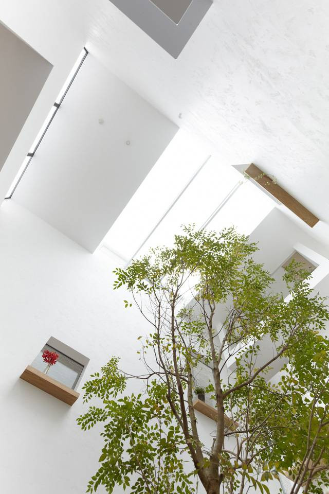 Hệ thống mái kính có tác dụng như một giếng trời.