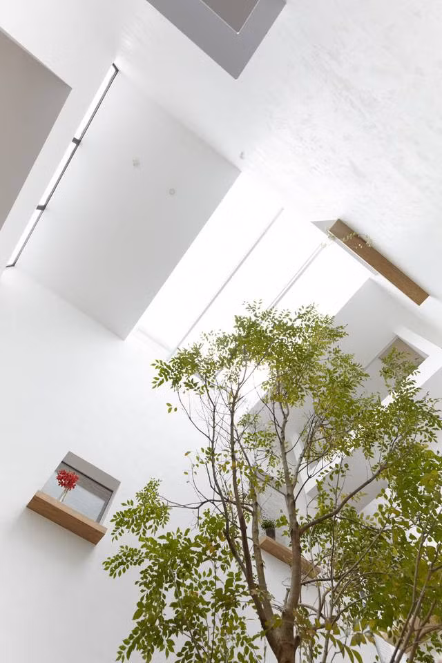 Hệ thống mái kính có tác dụng như một giếng trời.