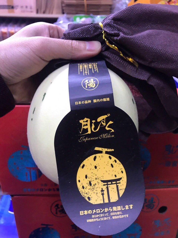 Quả nhỏ nặng khoảng 700 - 800g, còn quả lớn nặng tới 1,8kg. Ảnh: Hoaquauudam.