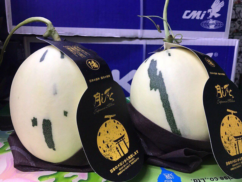 Theo người bán, đây là giống dưa sữa (hay dưa trắng) có nguồn gốc từ Nhật Bản. Ảnh: Hoaquauudam.