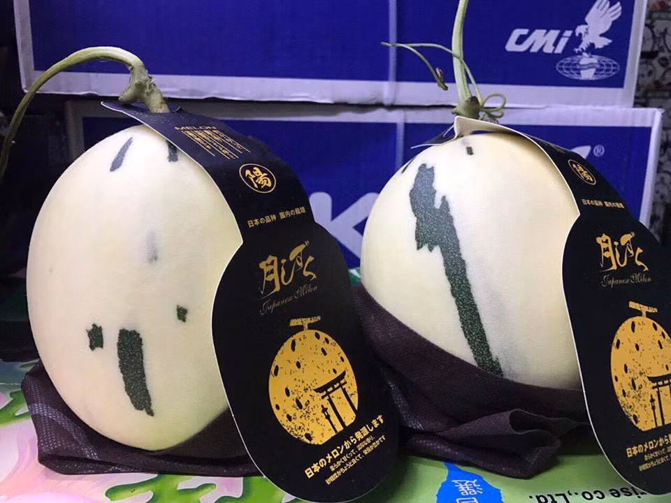 Theo người bán, đây là giống dưa sữa (hay dưa trắng) có nguồn gốc từ Nhật Bản. Ảnh: Hoaquauudam.
