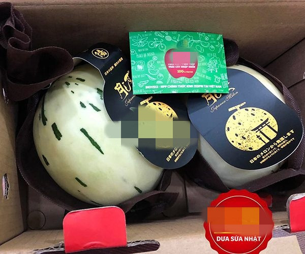 Dưa sữa Nhật Bản được rao bán với giá từ 160.000 - 300.000 đồng/kg. Ảnh: Biovegi.