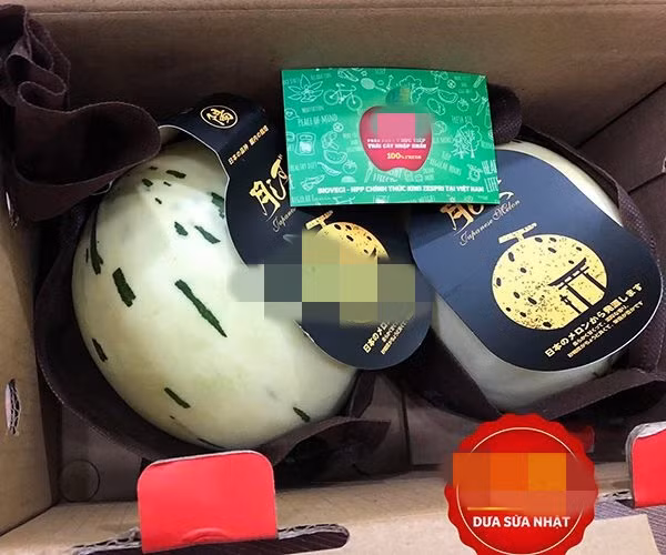 Dưa sữa Nhật Bản được rao bán với giá từ 160.000 - 300.000 đồng/kg. Ảnh: Biovegi.