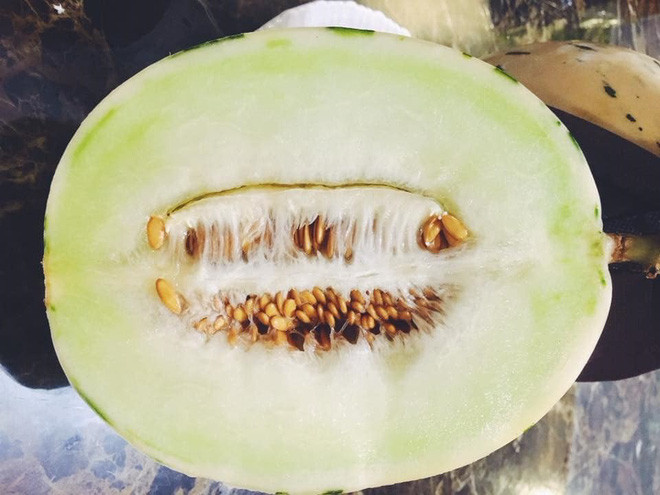 Dưa sữa Nhật Bản có lớp vỏ trắng ngà bên ngoài, vị ngọt giống như sữa. Ảnh: Baodansinh.