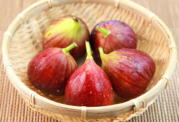 Chia sẻ trên Vietnamnet, chị Trần Vân Anh ở Kim Ngưu (Hai Bà Trưng, Hà Nội) cho biết phải đợi đến hơn 1 tuần, chị mới mua được 2 kg sung Nhật Bản. Ảnh: Kannonyama.