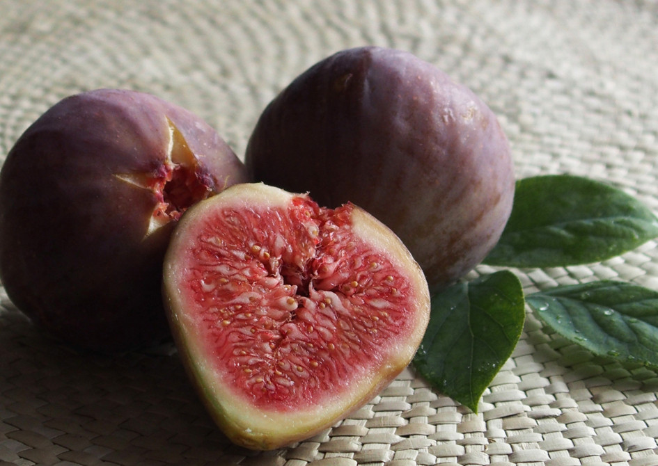 Theo một số cửa hàng chuyên hoa quả nhập khẩu, sung Nhật đang là mặt hàng mới, lại tốt cho sức khỏe nên hàng về đến đâu là hết đến đó. Ảnh: Japantimes.