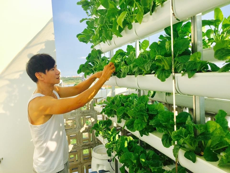 Trên sân thượng, Lý Hải – Minh Hà đầu tư thiết kế hệ thống thủy canh dạng đứng với mái che để giảm bớt ánh nắng và mưa trực tiếp xuống làm hỏng rau. Xung quanh vẫn có độ thoáng để rau phát triển tươi tốt. (Ảnh: FBNV)