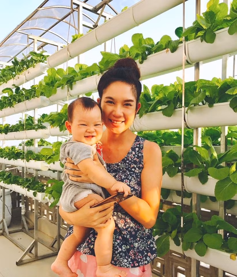 Không chỉ "mát tay" chăm sóc con cái, cặp vợ chồng nổi tiếng Lý Hải - Minh Hà còn rất mát tay trong việc trồng và chăm sóc các loại rau củ, cây trái trong vườn nhà. Diện tích vườn không lớn nhưng vợ chồng nam ca sĩ đã khéo léo trồng đủ các loại rau và cây ăn quả. (Ảnh: FBNV)