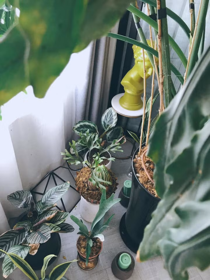  Đỗ An cho biết đi đâu anh cũng nghĩ ý tưởng để thiết kế cho căn hộ của mình. Ảnh: FB Do An.