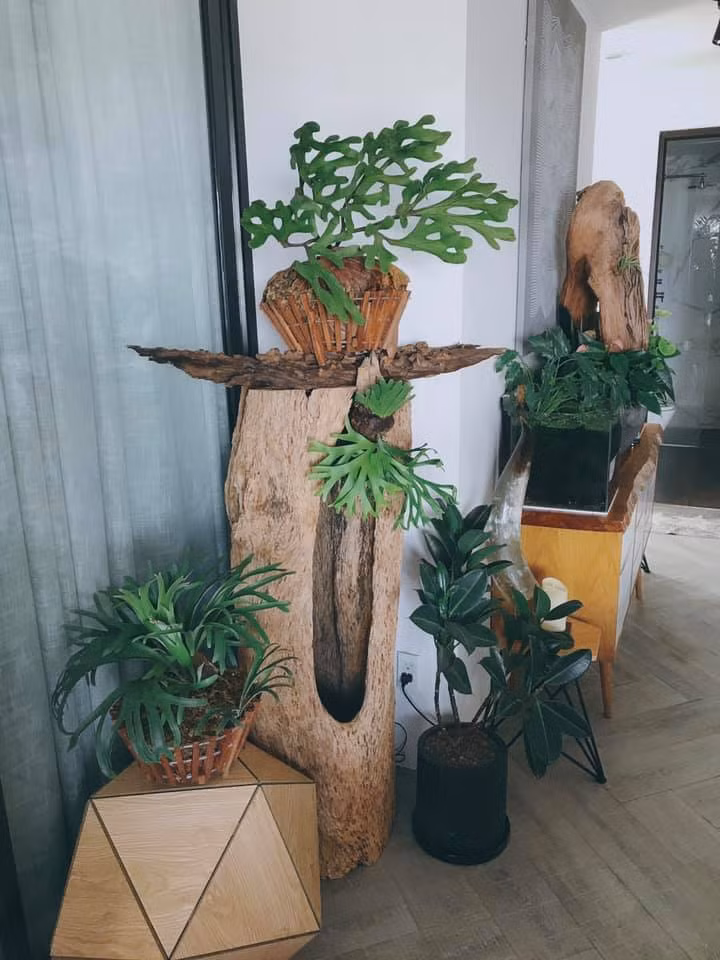 Toàn bộ nội thất trong nhà đều do hai vợ chồng Lê Thúy - Đỗ An tự tay mua sắm. Ảnh: FB Do An.