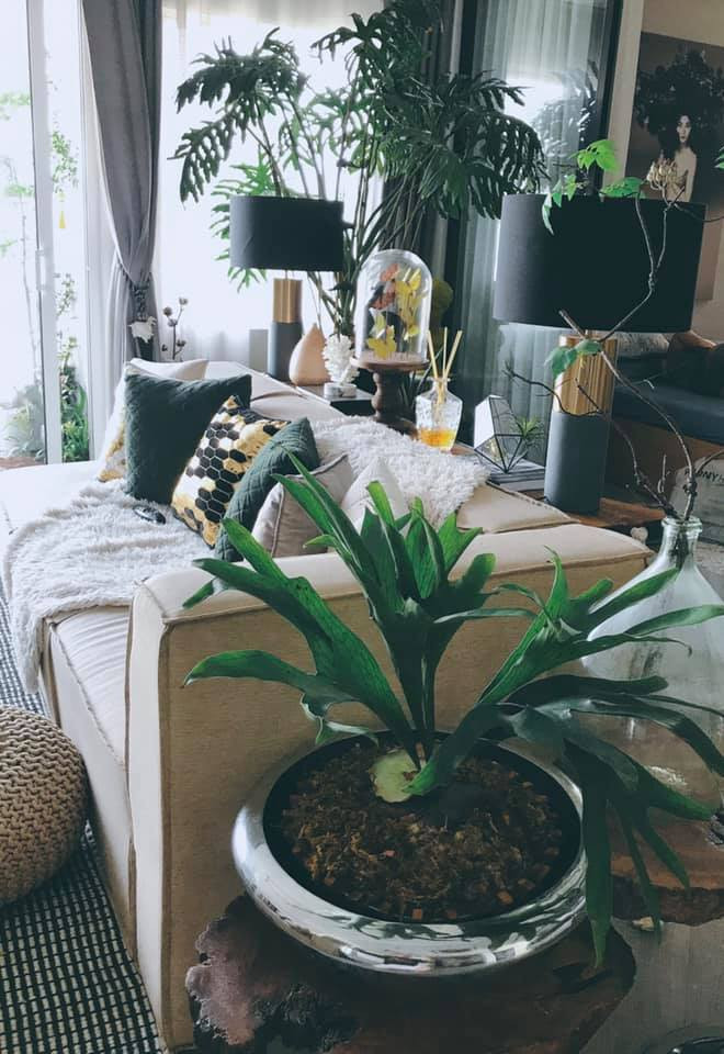 Phòng khách mang phong cách Bắc Âu với gam màu trắng xanh chủ đạo. Ảnh: FB Do An.