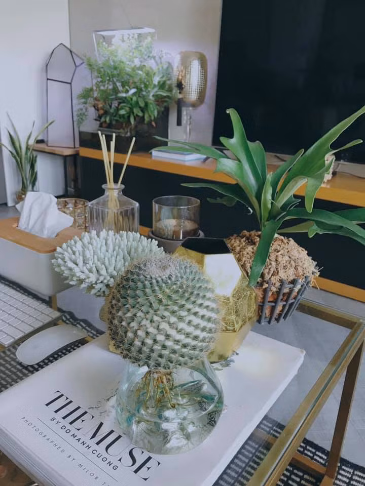 Điểm đáng chú ý trong căn hộ là không gian ngập tràn sắc xanh của cây cối. Ảnh: FB Do An.