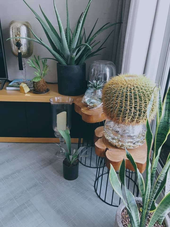 Nam diễn viên Đỗ An còn hài hước chia sẻ: "Cái nhà hay cái rừng? Mà chưa có đã gì hết". Ảnh: FB Do An.