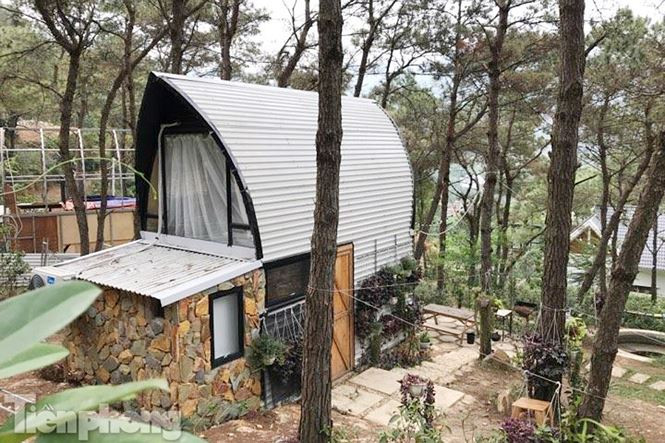 Cũng như trách nhiệm nhiều cá nhân, tập thể, lãnh đạo các cơ quan liên quan "tiếp tay" cho việc tàn phá rừng Sóc Sơn sẽ bị xử lý ra sao?