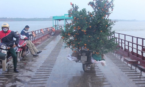 Bien cay bo di, thanh quat 