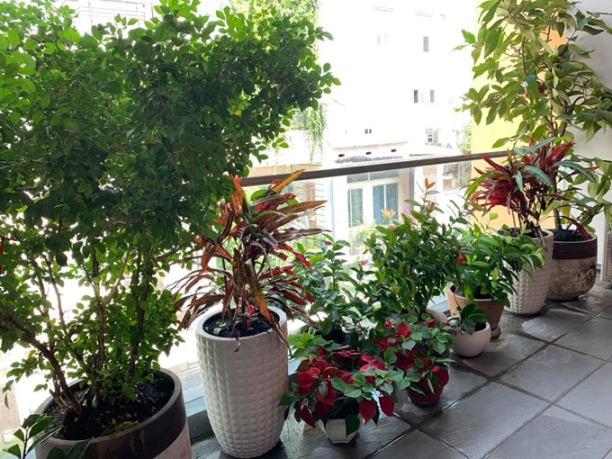 Góc ban công tràn ngập hoa và cây xanh mang lại không gian tươi xanh.