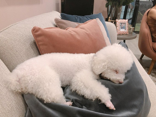 Các phòng chức năng trong nhà bao gồm phòng khách, phòng làm việc, phòng ngủ chính, phòng em bé, phòng ngủ dành cho khách, khu bếp...