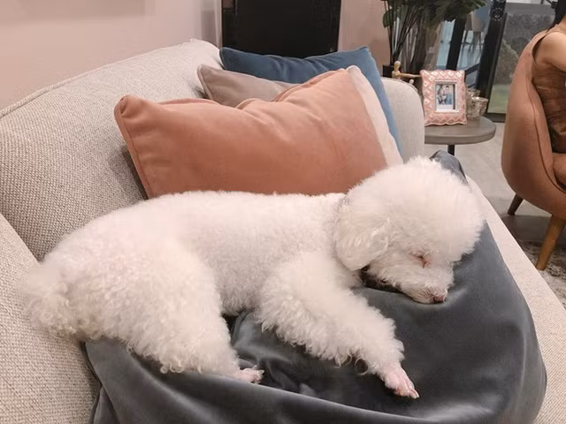 Các phòng chức năng trong nhà bao gồm phòng khách, phòng làm việc, phòng ngủ chính, phòng em bé, phòng ngủ dành cho khách, khu bếp...