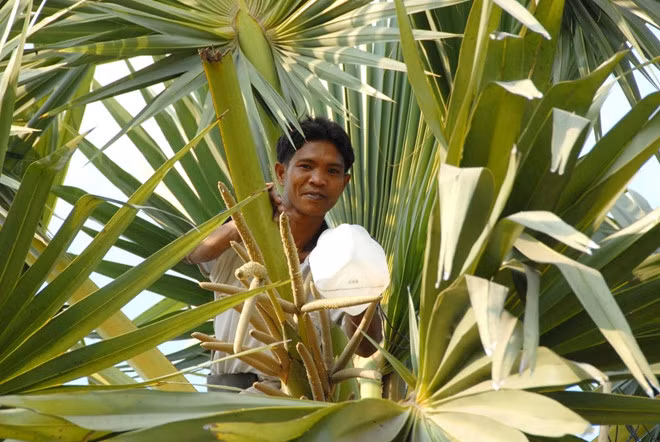 Tùy theo tay nghề của người thợ mà chất lượng đường có thể khác nhau. Ảnh: Zing.