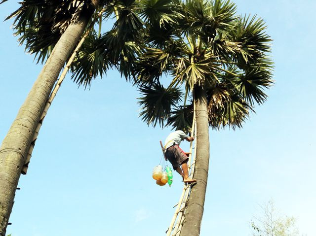Tuy nhiên, công việc này lại mang về cả tiền triệu mỗi ngày. Ảnh: Dân Việt.