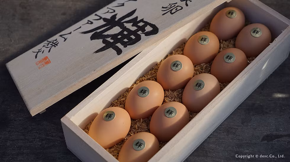 Chế độ dinh dưỡng này cũng là lý do giúp trứng Teru không mùi tanh và vị ngọt. Ảnh: San-sui.