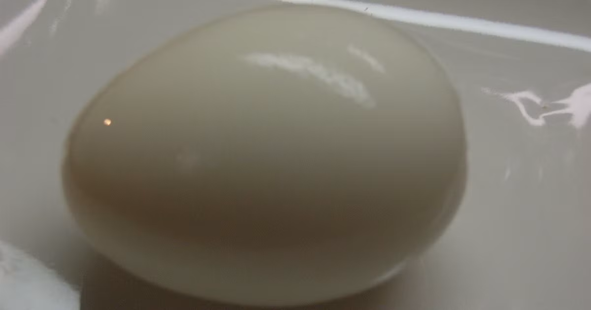 Kích thước quả trứng Teru cũng to hơn bình thường. Ảnh: Cookpad.