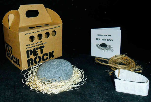 Chỉ bằng những viên đá lấy từ các bãi biển ở Mexico với mức giá khoảng 1 xu ( 0,01 USD ) cho mỗi viên, Dahl đã tạo ra một đế chế thú cưng độc nhất vô nhị trên thế giới vào thời điểm đó. Ông đã cháy hàng với những tảng đá thú cưng. Sau đó Danl đã bỏ túi được gần 6 triệu USD nhờ ý tưởng kinh doanh độc đáo này.