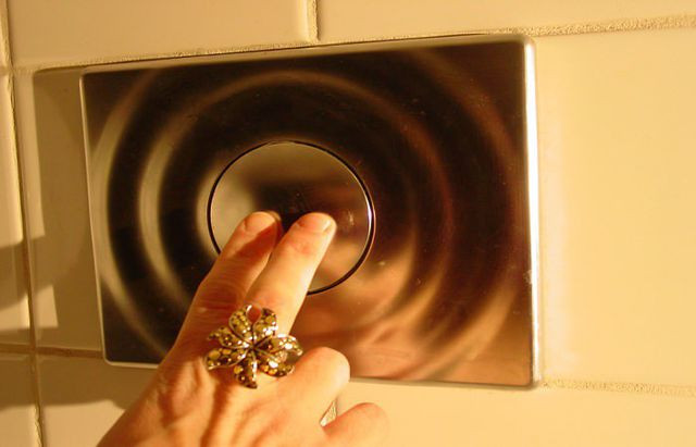 Kết quả nghiên cứu cũng cho thấy, nút xả toilet có đã có hơn 1.709 vi khuẩn trên một centimet vuông.