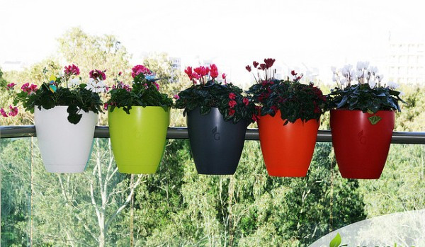 Thêm một số chậu hoa ngoài ban công cũng giúp ngôi nhà bạn tràn ngập sự tươi mới. Ảnh: Sofaviethome.