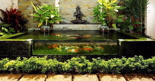 5 tieu canh trong nha duoc ua chuong nhat tai Viet Nam