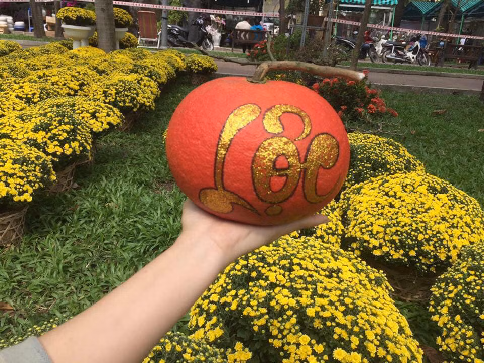 Bưởi đỏ loại 2 là 180.000 đồng/trái và loại 3 là 130.000 đồng/trái. Ảnh: Buoidotienvua.