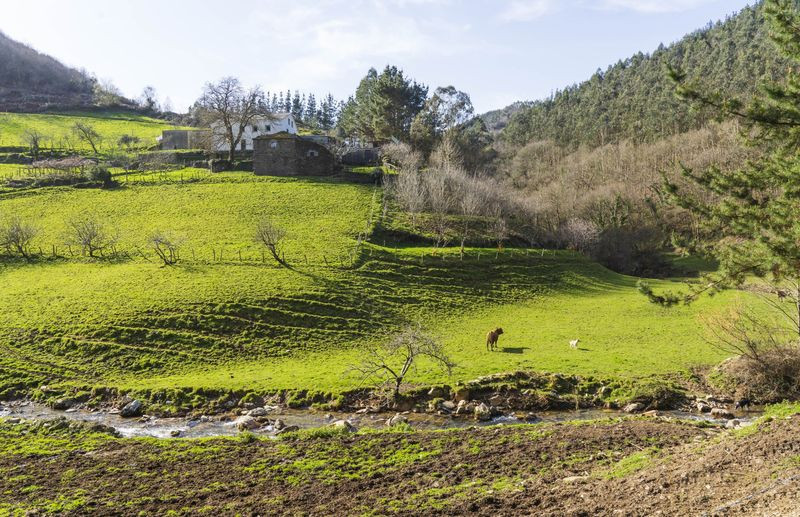 Alberto Hidalgo - một nhiếp ảnh gia quảng cáo và thời trang tại Madrid đã mua một ngôi làng rộng 35 ha ở miền bắc Tây Ban Nha với giá 120.000 Euro.