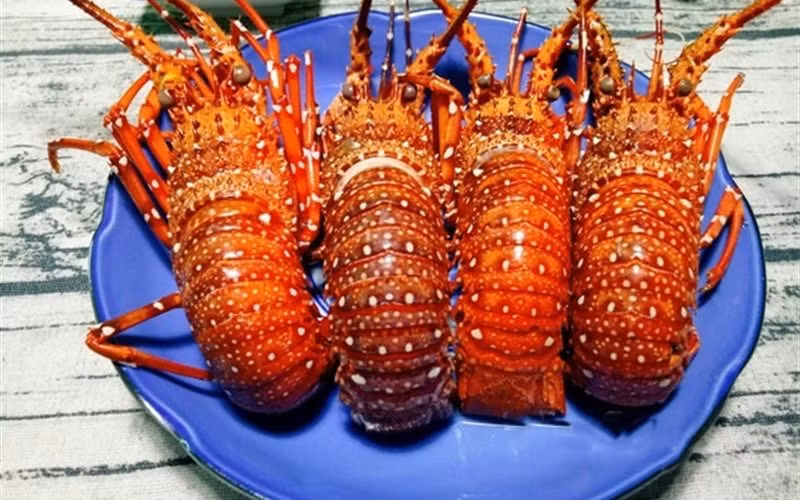 Tôm hùm chết được tiêu thụ mạnh là điều bình thường, cũng giống như các loại thủy sản khác. Ảnh: Internet.