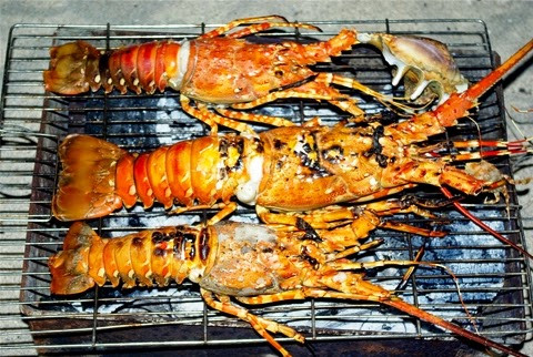 Trong việc nuôi tôm hùm, hiện tượng tôm hùm bị chết là khó tránh khỏi, thậm chí ở một số vùng nuôi tỷ lệ hao hụt lên đến gần 50% trong năm nay. Ảnh: Dulichnhatrang