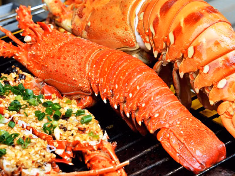 Thực chất tôm hùm giá rẻ là loại tôm hùm chết. Ảnh: Thodianhatrang.