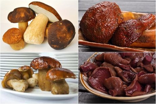 Chị Lan Thu (Đống Đa, Hà Nội) cho biết thường đặt hàng nấm gan bò rừng thông của một người bán quen. Mỗi lần mua, chị thường phải chờ khoảng 5-7 ngày. Ảnh: Internet.