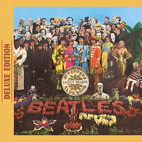 Sgt. Pepper's Lonely Hearts Club Band (The Beatles) – 290.000 USD (6,7 tỷ VND). Sgt. Pepper's Lonely Hearts Club Band là album phòng thu thứ 8 của ban nhạc The Beatles được phát hành vào năm 1967. Sgt. Pepper được coi là một trong những kiệt tác của lịch sử âm nhạc, một trong những album vĩ đại nhất thế giới. Album đã được mua lại với giá 290.000 USD cho ấn bản đầu tiên.