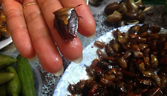 Khách nhiều nơi đặt hàng nhưng chị Tâm chỉ bán cho ai đến tận nơi lấy vì chuyển xa bọ xít sẽ chết. Ảnh: Saigonamthuc.