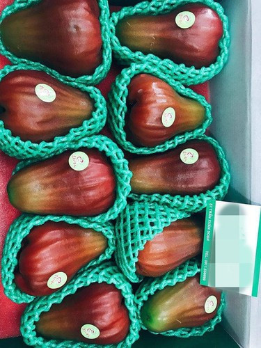 Với giá 1 triệu đồng/kg, tính ra mỗi quả roi Đài Loan có giá từ 200.000-300.000 đồng, tuỳ trọng lượng. Ảnh: FB Kylie Vu.